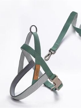 Adjustable Sage Green and Light Gray Dog Harness with Matching Leash